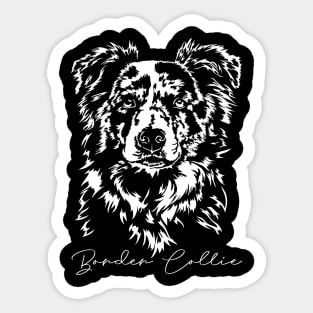 Merle Border Collie Portrait dog lover Sticker